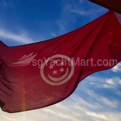 singapore-registry-of-ships-big-0