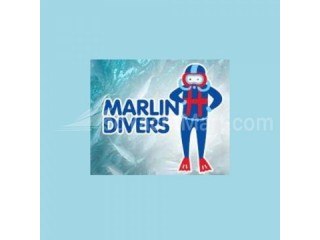 Dive Operator