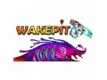 wake-pit-small-0