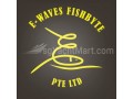 e-waves-fishbyte-small-0